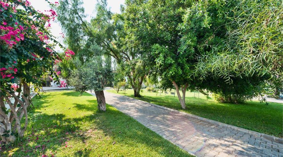 Bare Hill Holiday Apartments Krini Exteriér fotografie