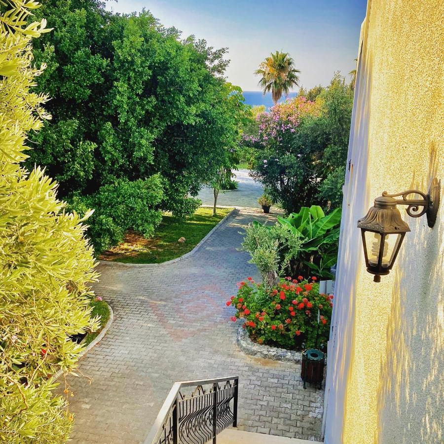 Bare Hill Holiday Apartments Krini Exteriér fotografie